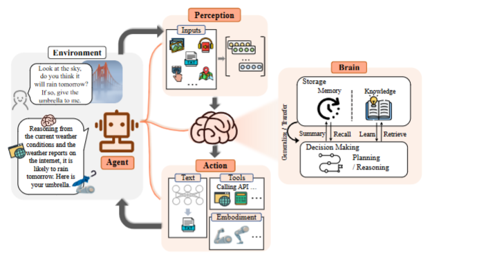 image-20250218150706027